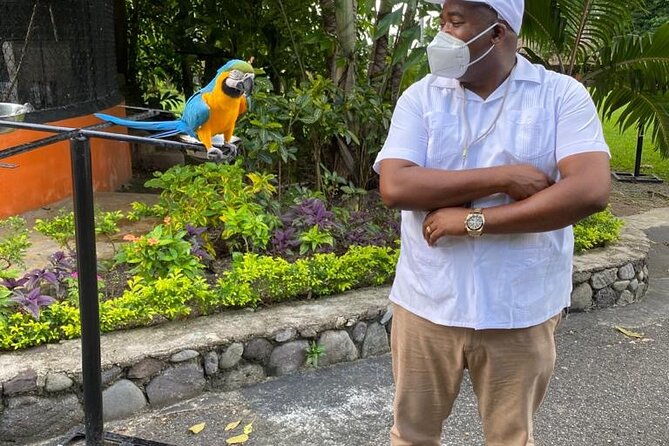 private-konoko-falls-and-dunns-river-combo-tour-from-ocho-rios