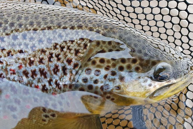 private-lake-and-river-fishing-tour-from-reykjavik