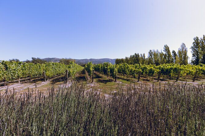 private-luxury-transportation-experience-sonoma-2
