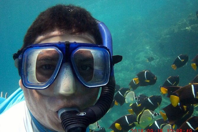 private-morning-sail-snorkel-tour