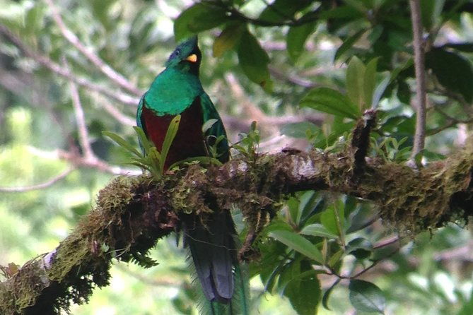 private-natural-history-walk-by-pasion-costa-rica