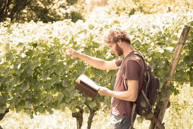private-outdoor-escape-game-tuniberg-eduardo-the-wine-secret