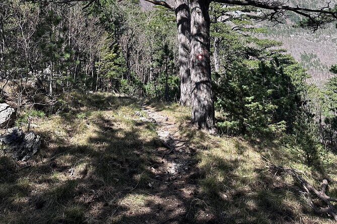 private-paklenica-hiking-tour-from-zadar-up-to-8-people