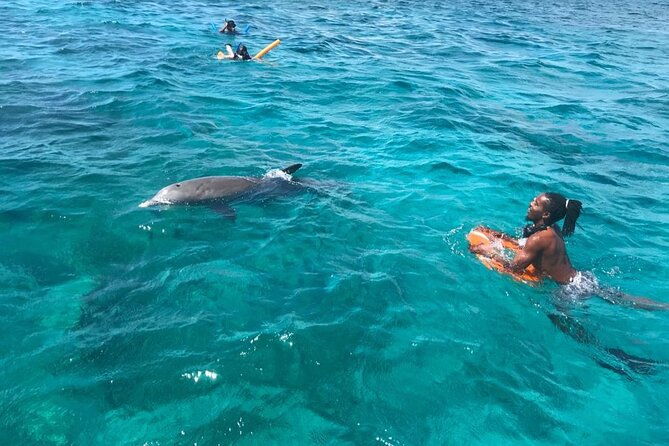 private-reef-beach-and-sandbar-tour-from-providenciales