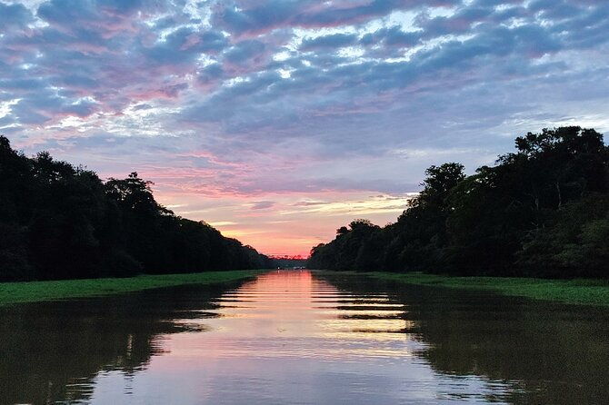 private-river-tour-by-speedboat-in-the-amazon-lily-pads-nature