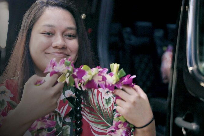 private-round-trip-transfer-honolulu-international-airport-to-hotel-or-cruise-terminal-2