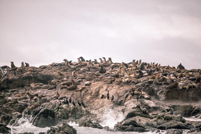 private-sailing-tour-of-bodega-bay
