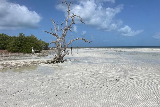 private-sandbar-adventure-in-key-west-backcountry-2