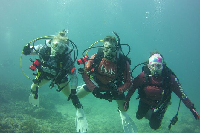 private-scuba-dive-the-reefs-of-key-largo-for-up-to-8-certified-divers