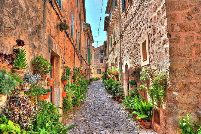 private-shore-excursion-to-valldemossa-and-palma-de-mallorca