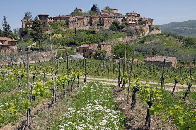 private-siena-to-florence-chianti-and-san-gimignano-transfer-tour