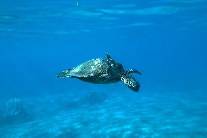 private-snorkel-with-beach-set-up
