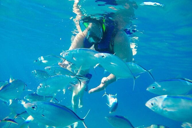 private-snorkeling-all-inclusive-bahia-de-sosua