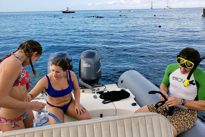 private-snorkeling-and-wildlife-on-the-adventure-boat