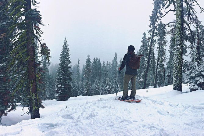 private-snowshoeing-adventure-from-badger-pass-to-dewey-point