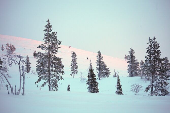 private-snowshoeing-tour-in-national-park