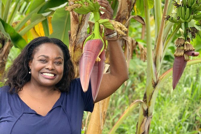 private-soufriere-experience-tour