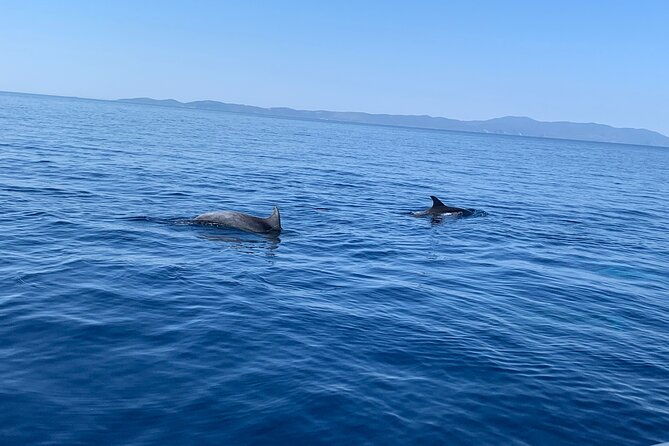private-speedboat-tour-from-trogir-or-split-create-your-itinerary