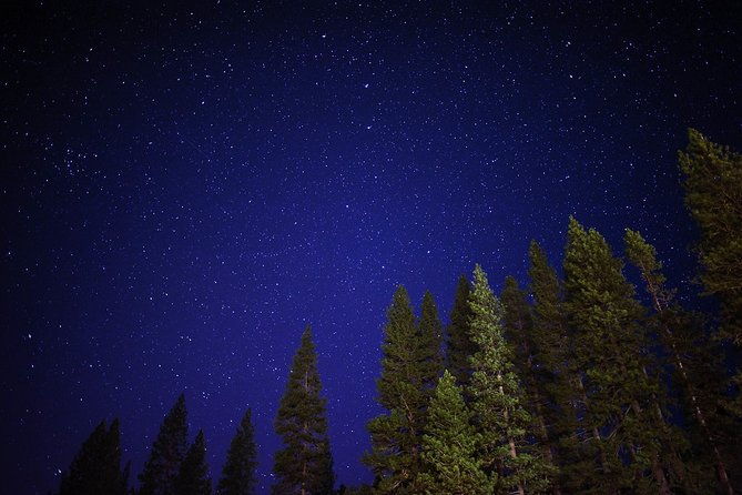 private-stargazing-sequoia-national-park-2