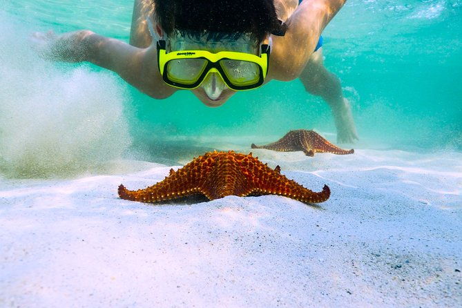 private-stingray-city-snorkeling-and-biobay-charter-for-6-guests