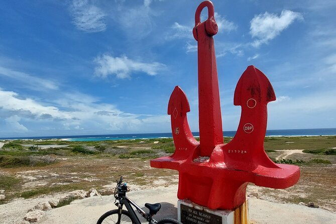 private-street-art-murals-and-coastal-san-nicolas-e-bike-aruba