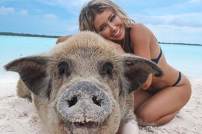 private-swimming-pig-beach-day-50ft-sun-seeker-yacht-1-10-guests