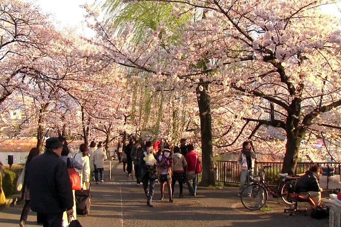 private-tokyo-personalized-tour-guide-only