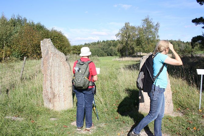 private-tour-3h-viking-history-from-stockholm-to-runic-kingdom
