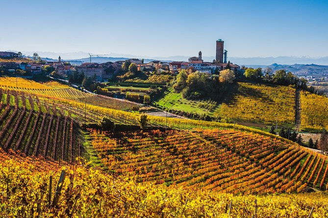 private-tour-barolo-wine-tasting-in-langhe-area-from-torino