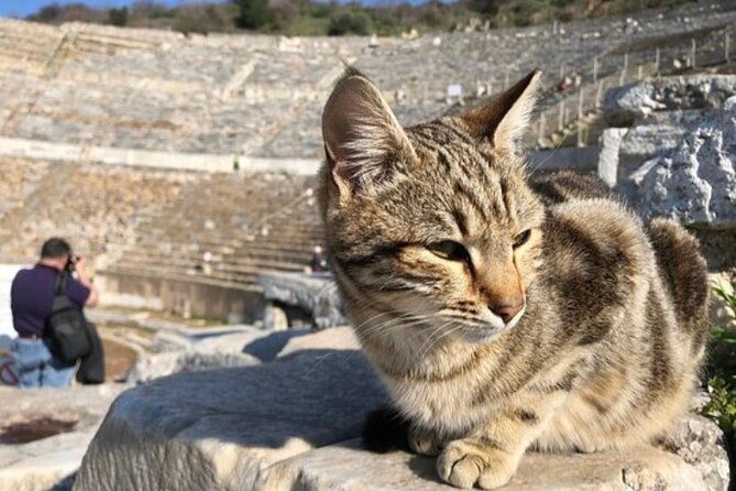 private-tour-biblical-ephesus-tour-for-cruisers-from-kusadasi-ephesus-port