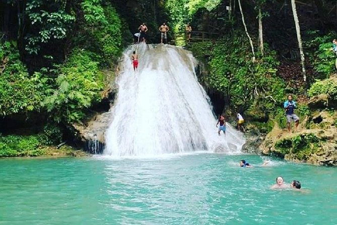 private-tour-blue-hole-and-fern-gully-rain-forest-adventure-from-negril