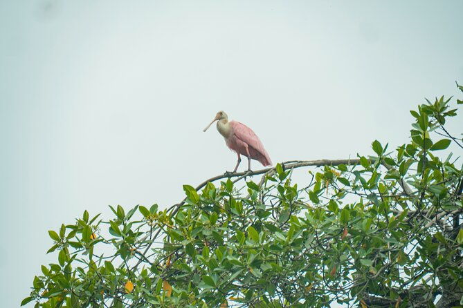 private-tour-from-guayaquil-to-churute-ecological-reserve