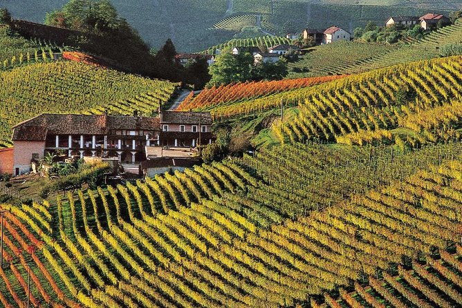 private-tour-from-turin-full-day-langhe-region-with-its-colors-and-flavors