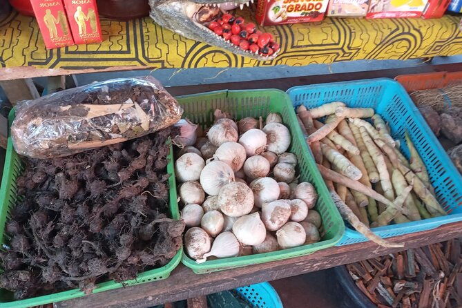 private-tour-in-belen-market-floating-city-and-amazon-river