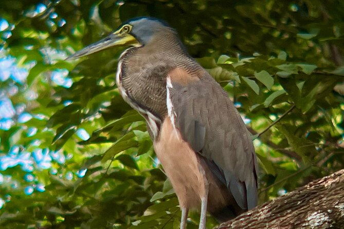 private-tour-in-palo-verde-with-boat-ride