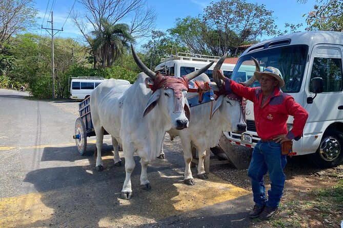 private-tour-in-the-rincon-de-la-vieja-national-park