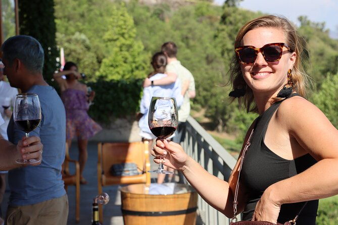 private-tour-isla-de-maipo-for-wine-lovers