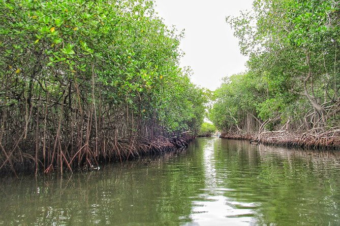 private-tour-of-ecotourism-culture-and-sea-in-baru