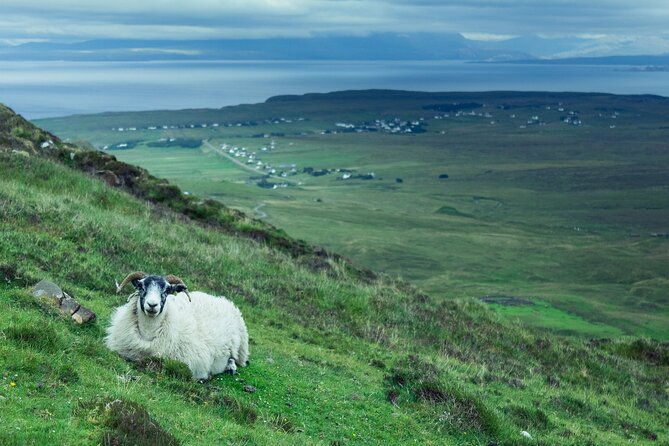 private-tour-of-loch-ness-glencoe-and-highlands-from-glasgow