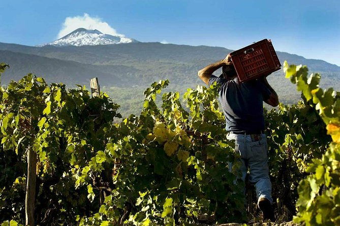 private-tour-of-mount-etna-and-etna-winery-visit-with-tasting-from-syracuse