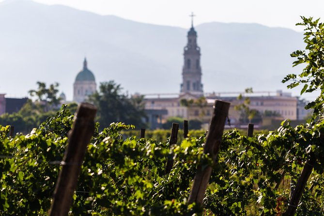private-tour-of-pompeii-ruins-organic-wine-and-lunch-tasting