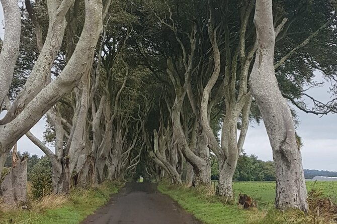 private-tour-of-the-antrim-coast-giants-causeway-and-game-of-throne-locations