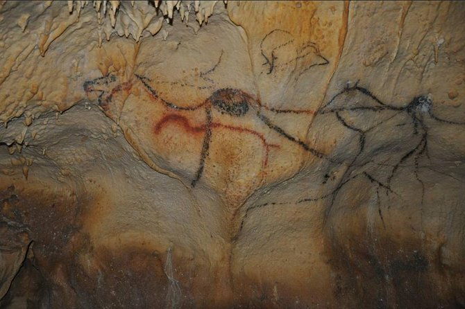 private-tour-prehistoric-cave-and-castle-by-exploreo-sarlat