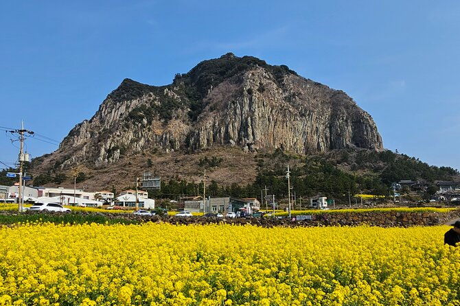 private-tour-south-and-west-jeju-island-with-experienced-driver-2