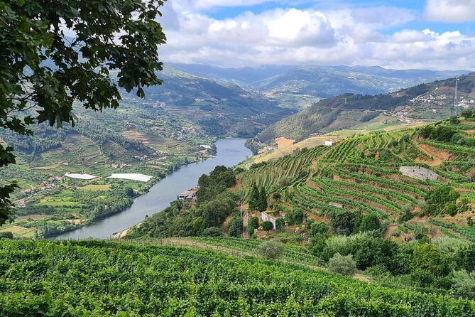 private-tour-through-the-douro-valley-wineries-boat