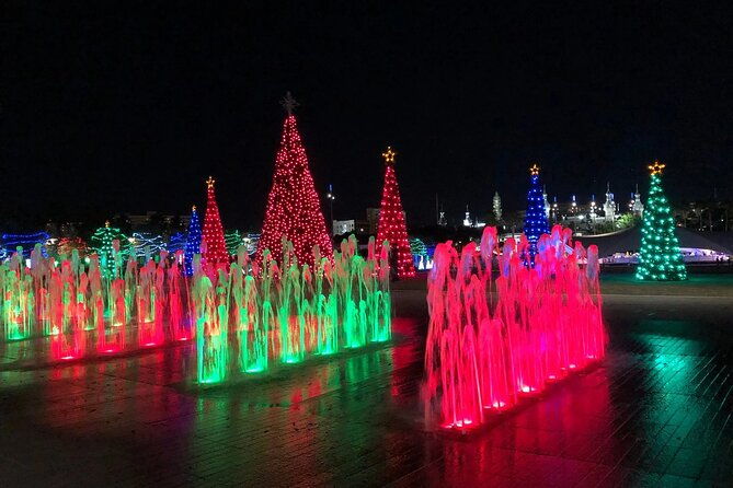 private-tour-to-christmas-winter-village-bayshore-and-hyde-park