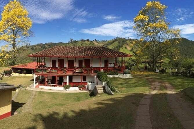 private-tour-to-coffee-farm-farm-of-your-choice