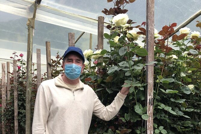 private-tour-to-papallacta-hot-springs-with-optional-visit-to-rose-plantation