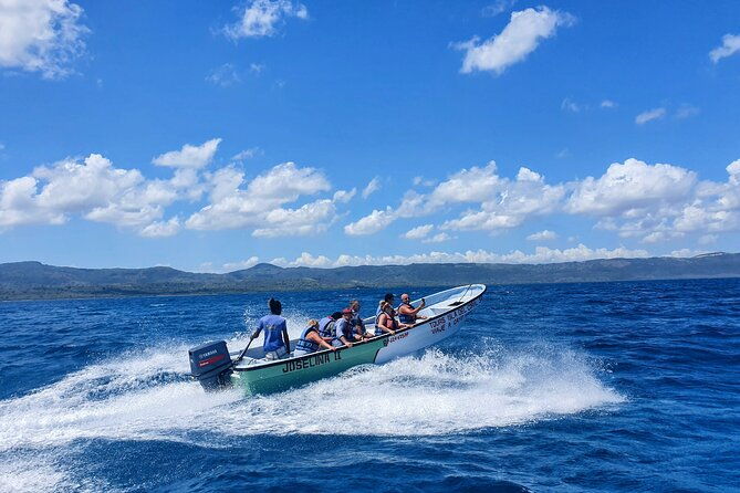 private-tour-to-paradise-island-with-snorkel-manatee-sanctuary