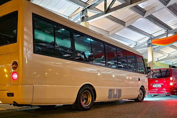 private-transfer-from-piarco-airport-to-san-fernando